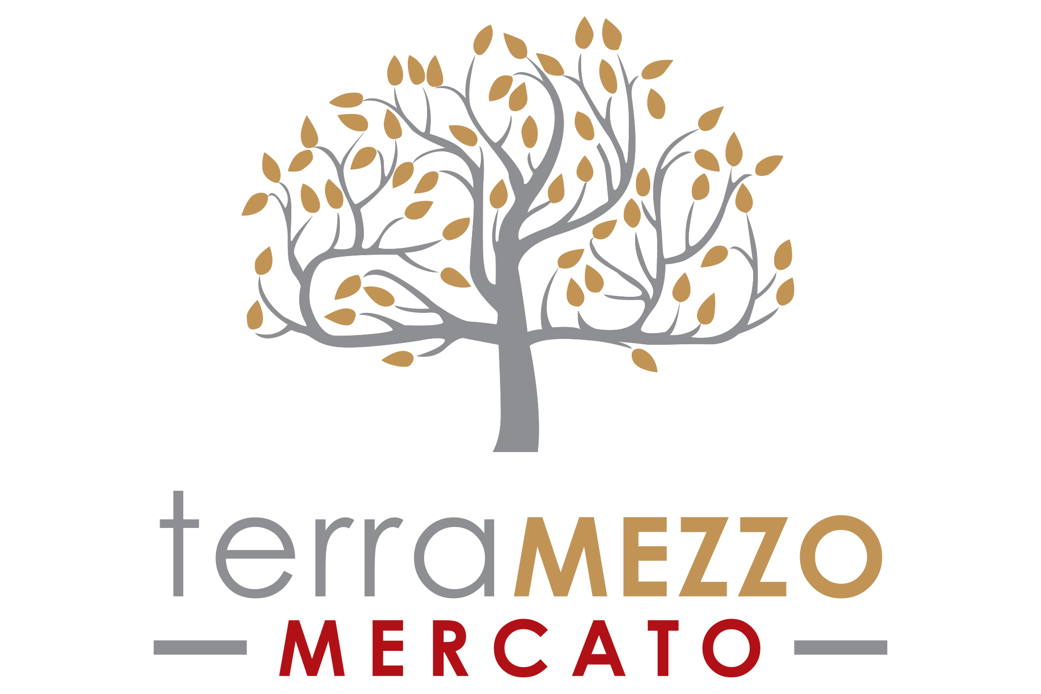 Terramezzo Ltd